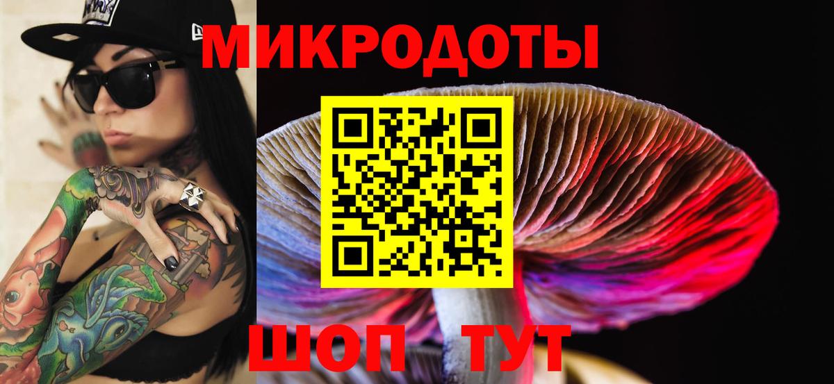 Галлюциногенные грибы Psilocybe Сафоново